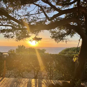 Dei Ginepri Costa Paradiso